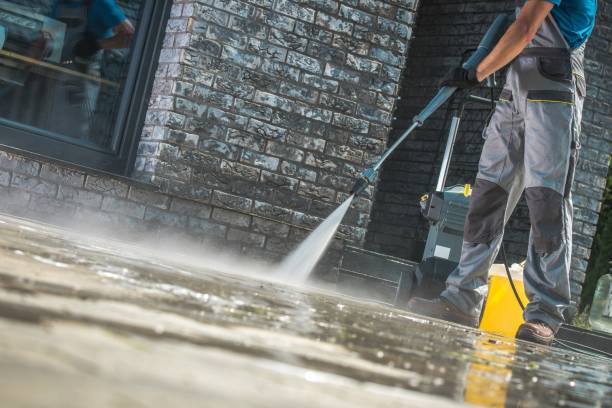 Best Paint Preparation  in Roxana, IL