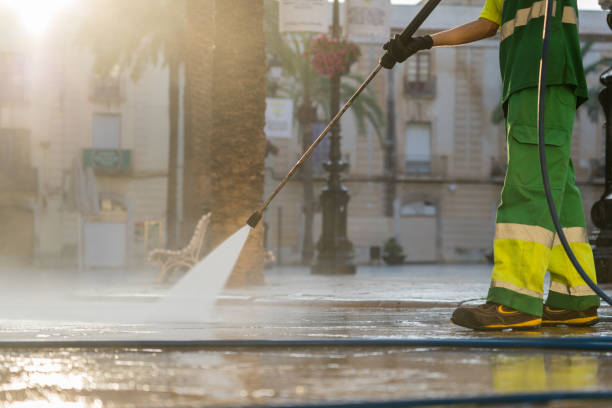 Trusted Roxana, IL Pressure Washing Services Experts